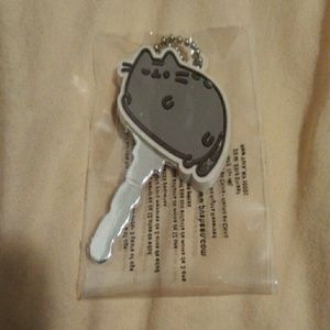 Pusheen cat key cover